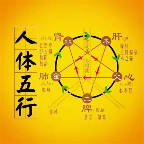 土属性的东西|土（中医五行之一）